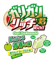 「ガリガリ君リッチ ほとばしる青春の味」商品イメージ