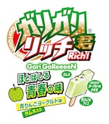 「ガリガリ君リッチ ほとばしる青春の味」商品イメージ