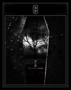 黒夢「黒と影 2014.1.29 Live at 日本武道館」ジャケット