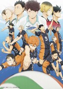 NICO Touches the Walls「天地ガエシ」初回限定盤特典の「ハイキュー!!」ワイドキャップステッカーデザイン。