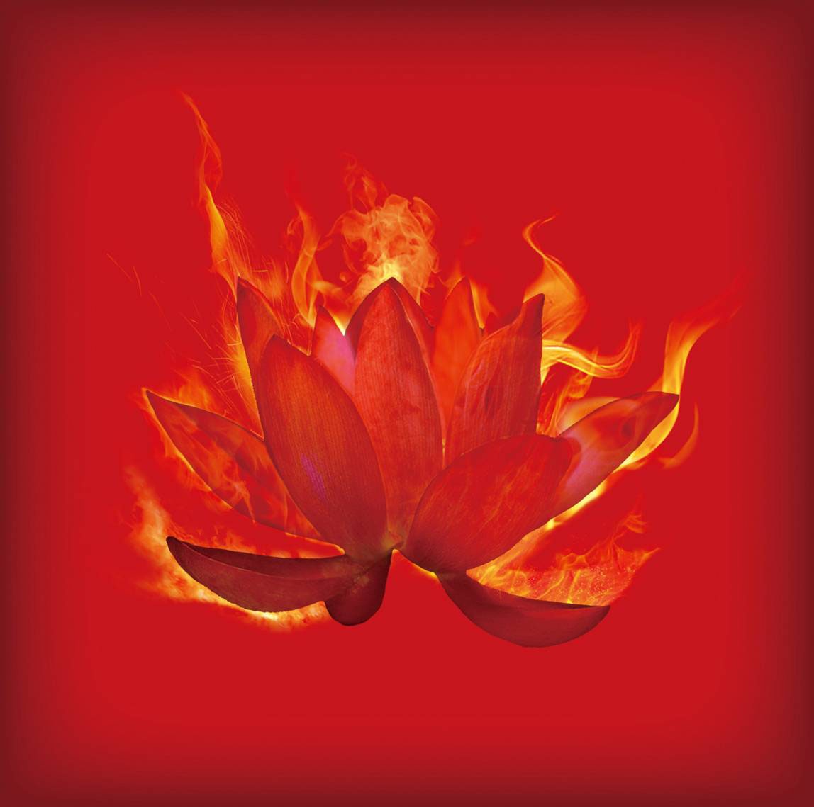 DOES「紅蓮」DOES盤ジャケット