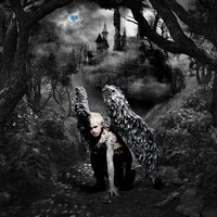 DAMIJAW「THIS IS MY WING」ジャケット