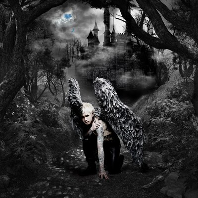 DAMIJAW「THIS IS MY WING」ジャケット