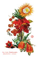 「One Week テニスコーツ」フライヤー