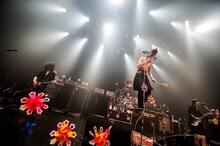 MERRY「THE ZOMBIE ～地獄に堕ちた野郎ども～」東京・Zepp DiverCity TOKYO公演の様子。（撮影：中村卓）