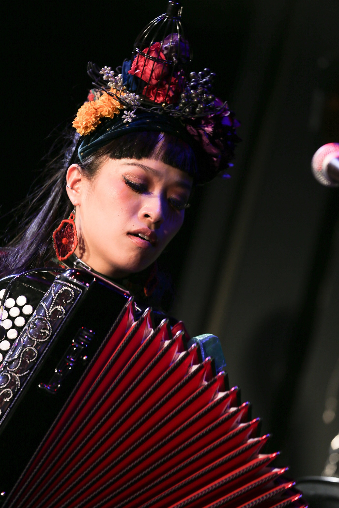 小春（Accordion）