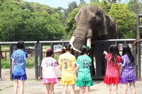 ゾウを眺めるたこやきレインボー。