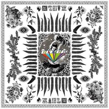 木村カエラ「OLE!OH!」初回限定盤特典の「OLE!OH! KAELAボタニカルアートチーフ」。