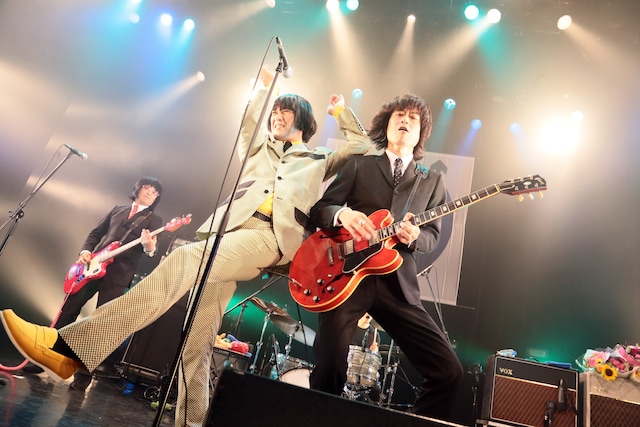 THE COLLECTORS（撮影：柴田恵理）