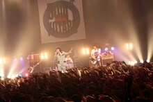 THE COLLECTORS（撮影：柴田恵理）