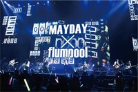 Maydayとflumpoolのセッションの様子。