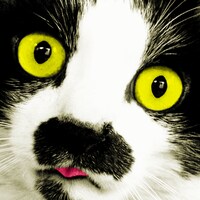 中山うり「鰻」ジャケット