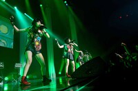 ベイビーレイズ