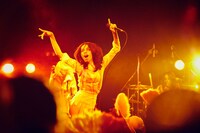 女王蜂（撮影：中野修也）