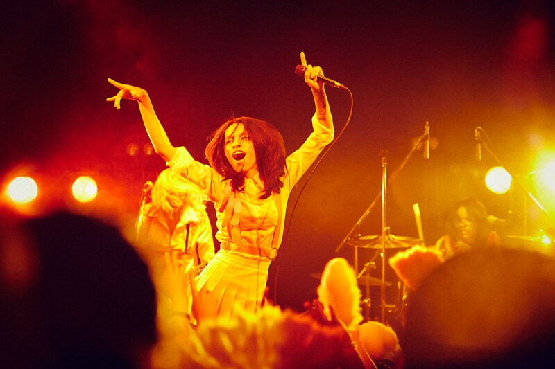 女王蜂（撮影：中野修也）