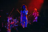 女王蜂（撮影：中野修也）