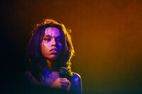 女王蜂（撮影：中野修也）