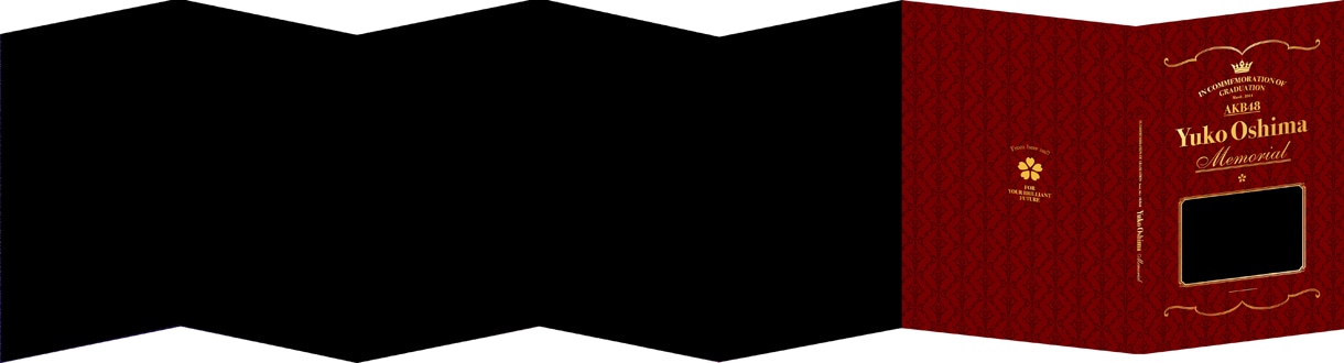 「AKB48 大島優子卒業記念フレーム切手セット」公式サイトVer.専用ホルダー
