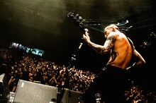 上ちゃん（4弦）（撮影：浜野カズシ）