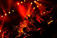 kamomekamome（Photo by YUJI HONDA）