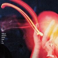 テスラは泣かない。「TESLA doesn't know how to cry.」ジャケット