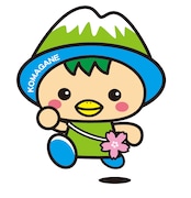 長野・駒ヶ根市のマスコットキャラクター、こまかっぱ。