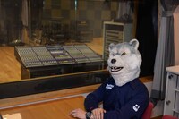 Jean-Ken Johnny（G, Vo）