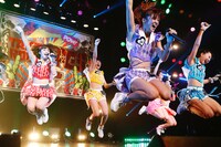 アップアップガールズ（仮）