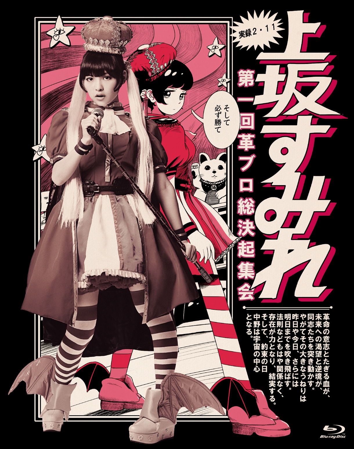 上坂すみれ/革ブロ潜入ルポルタージュ-趣味者集団を追え- Amazon.co.jp: 革ブロ潜入ルポルタージュ-趣味者集団を追え-(Blu
