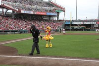 マウンドを去る廣田あいか投手。