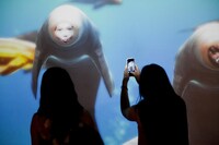 東京・東京ジョイポリスで開催された「FUNNY VILLAGE」の様子。