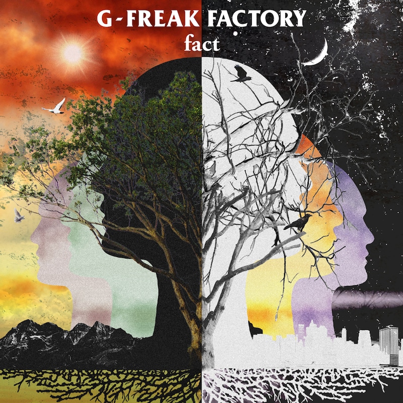 G-FREAK FACTORY「fact」ジャケット