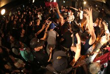 NATURE DANGER GANG（撮影：月夜野ヒズミ）