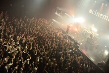 cinema staff「Death Bandwagon 2(to) Glory」東京・Zepp DiverCity TOKYO公演の様子。（撮影：橋本塁）