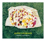川本真琴「gobbledygook」ジャケット