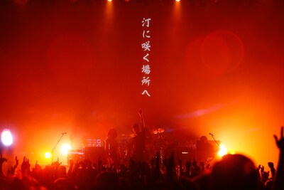 BRAHMAN「Tour 1080°」東京・Zepp Tokyo公演の様子。（Photo by Tsukasa Miyoshi[Showcase]）