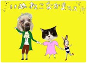 “いぬねこなかまフェス”に畠山美由紀、清水ミチコ、美雨ら