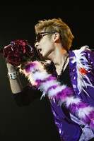 HAMA（カスタマイZ）