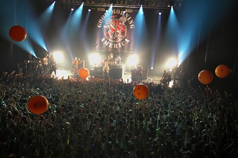 「7つの秘宝を探す冒険（アドベンチャー） 2014」東京・Zepp DiverCity TOKYO公演の様子。（Photo by Shigeru Ushizawa）