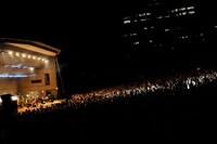 SPECIAL OTHERS「QUTIMA Ver.17 SPECIAL OTHERS 野音2014」の様子。（Photo by KAZUHARU IGARASHI）