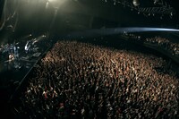 スガシカオ「Suga Shikao FUNK FIRE 2014」東京・Zepp Tokyo公演の様子。（撮影：古賀恒雄）