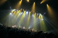 スガシカオ「Suga Shikao FUNK FIRE 2014」東京・Zepp Tokyo公演の様子。（撮影：古賀恒雄）