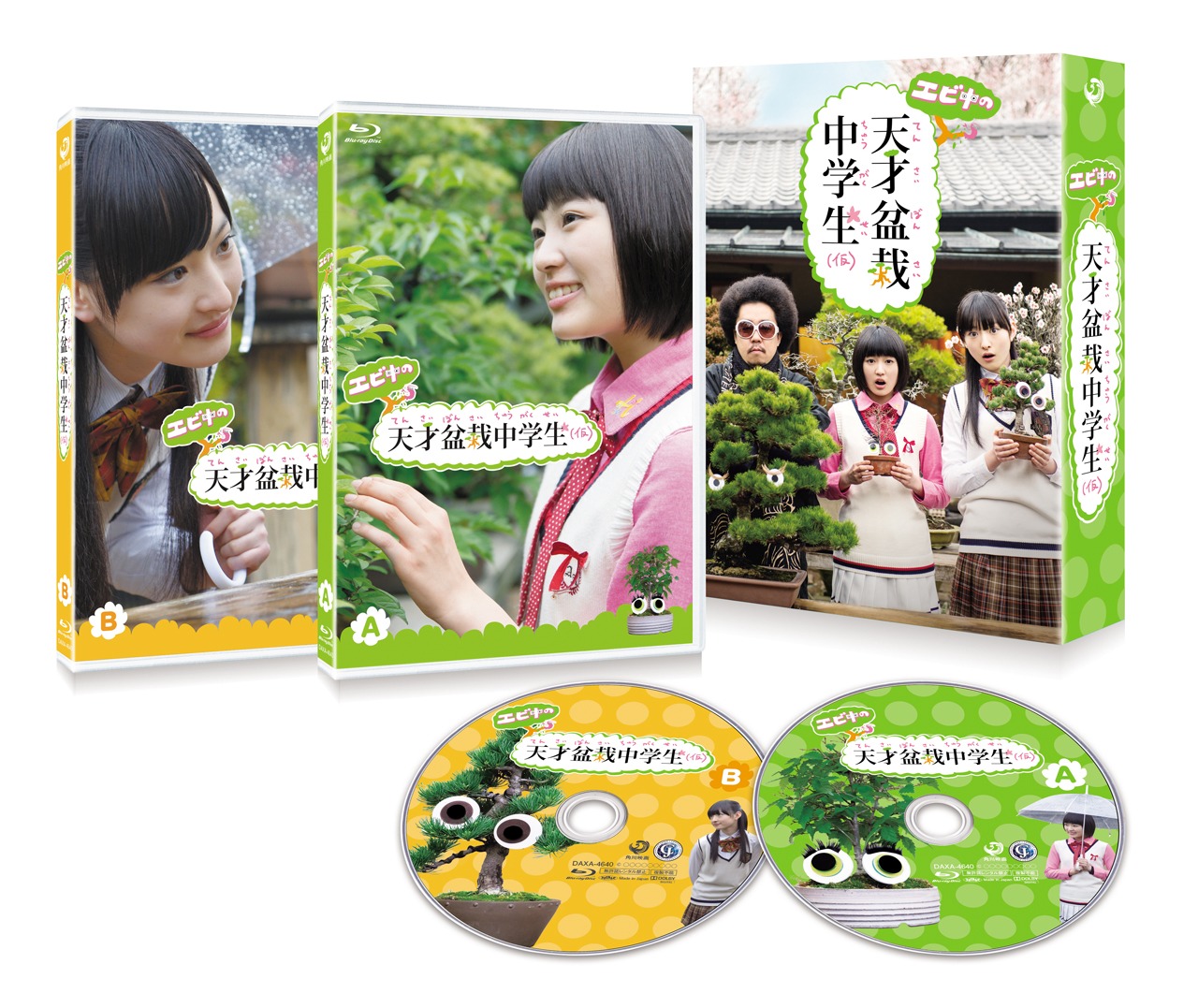 私立恵比寿中学「エビ中の天才盆栽中学生（仮）Blu-ray BOX」イメージ