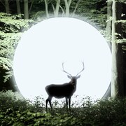 LITE「Installation」Topshelf Records盤ジャケット