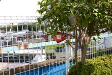 花やしき内に点在する小池の謎。