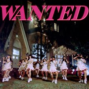 ピンク・ベイビーズ「ウォンテッド（指名手配）」ジャケット