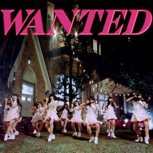 ピンク・ベイビーズ「ウォンテッド（指名手配）」ジャケット