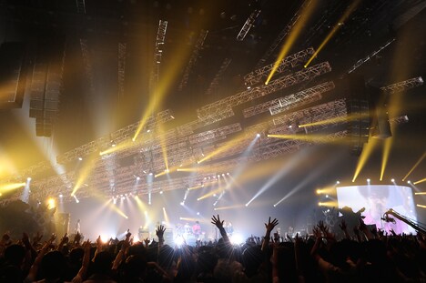 ASIAN KUNG-FU GENERATION（撮影：岸田哲平）