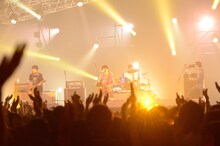 ASIAN KUNG-FU GENERATION（撮影：岸田哲平）