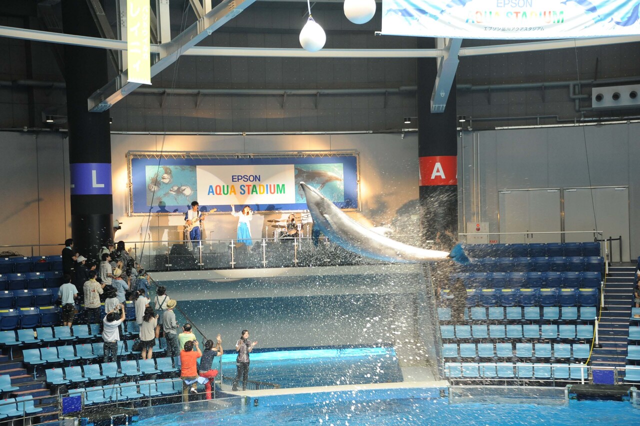 7!!のライブの模様。